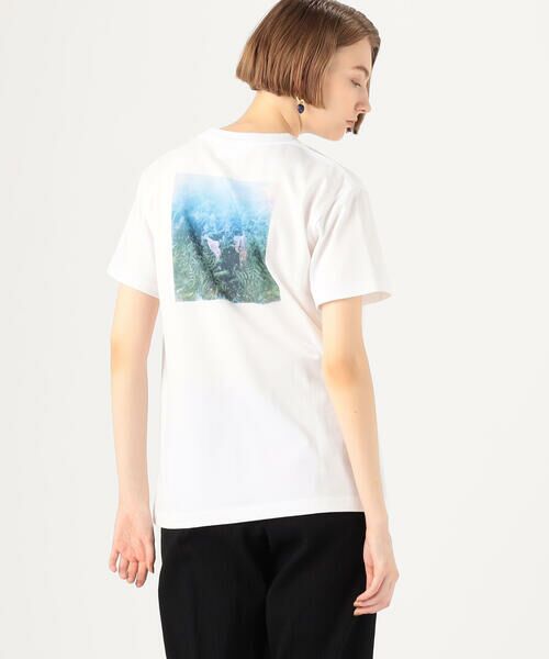 TOMORROWLAND / トゥモローランド Tシャツ | 【別注】Takako Noel×TOMORROWLAND コットンバックプリント ハーフスリーブプルオーバー | 詳細6