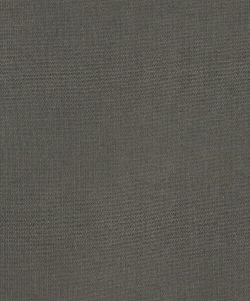 TOMORROWLAND / トゥモローランド Tシャツ | スーピマコットンジャージー フレンチスリーブプルオーバー | 詳細7