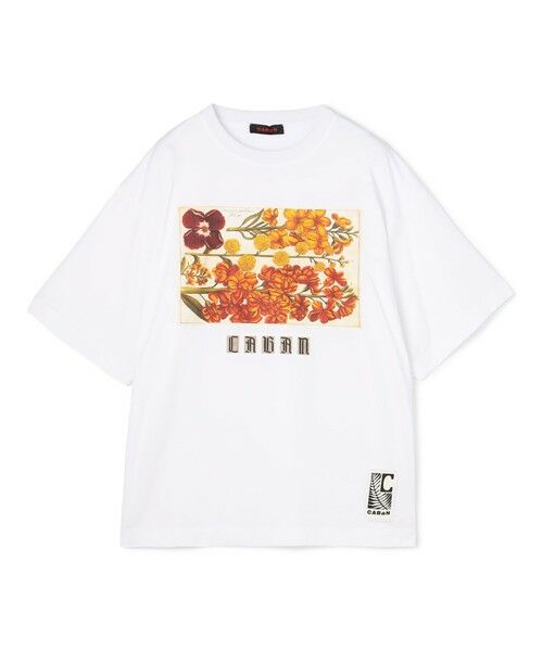 CABaN スビンコットン パレルモプリントTシャツ （カットソー