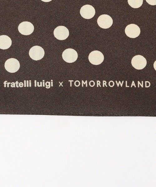 TOMORROWLAND / トゥモローランド バンダナ・スカーフ | FRATELLI LUIGI シルクプリント スカーフ | 詳細5