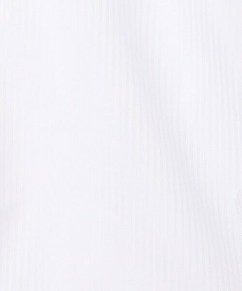 TOMORROWLAND / トゥモローランド シャツ・ブラウス | 120/2コットンドビー シャドーストライプ レギュラーカラードレスシャツ | 詳細10