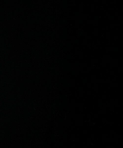 TOMORROWLAND / トゥモローランド ロング・マキシ丈ワンピース | レーヨンベルベット Vネックワンピース | 詳細15