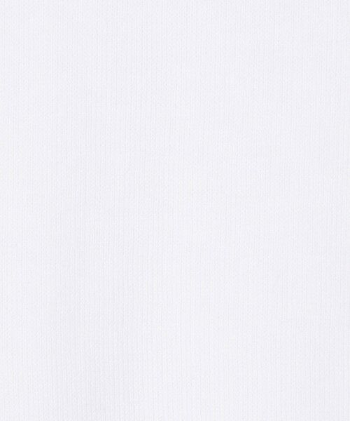 TOMORROWLAND / トゥモローランド ニット・セーター | エクストラファインゲージコットン クルーネックニット | 詳細10