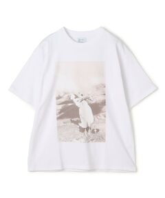 THE INTERNATIONAL IMAGES COLLECITON コットン Tシャツ