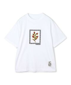 CABaN スビンコットン ビンテージフラワーエンブロイダリーTシャツ