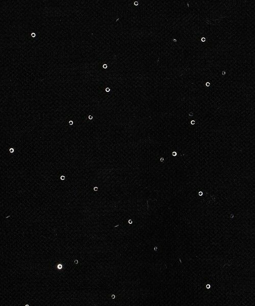 TOMORROWLAND / トゥモローランド ニット・セーター | ミニスパンコール ハーフスリーブプルオーバー | 詳細10