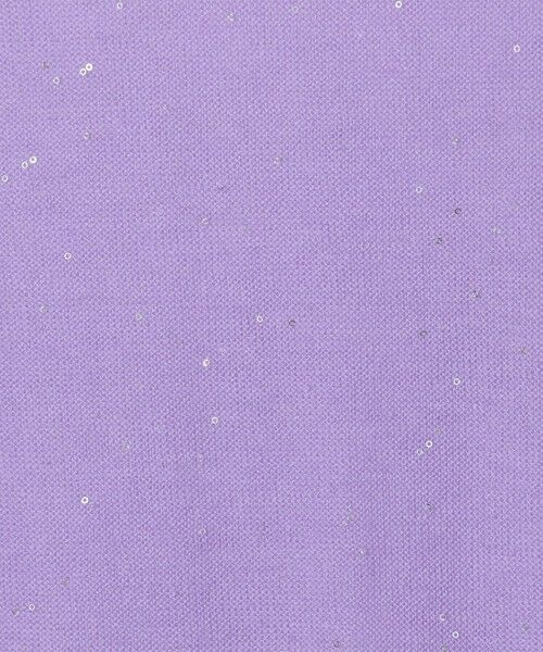 TOMORROWLAND / トゥモローランド ニット・セーター | ミニスパンコール ハーフスリーブプルオーバー | 詳細15