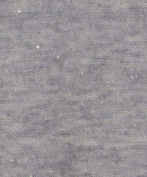 TOMORROWLAND / トゥモローランド ニット・セーター | ミニスパンコール クルーネックプルオーバー | 詳細12