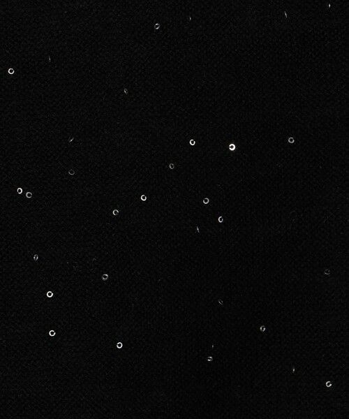 TOMORROWLAND / トゥモローランド ニット・セーター | ミニスパンコール クルーネックプルオーバー | 詳細13