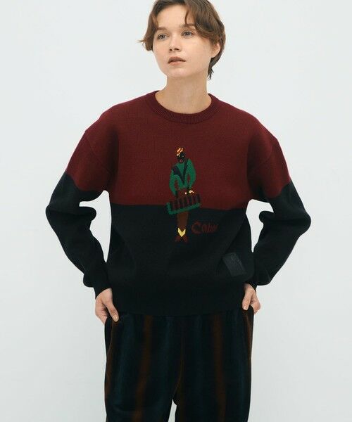 TOMORROWLAND / トゥモローランド ニット・セーター | CABaN コットンカシミヤジャカード JAZZ VIBRAPHONE クルーネックプルオーバー | 詳細11