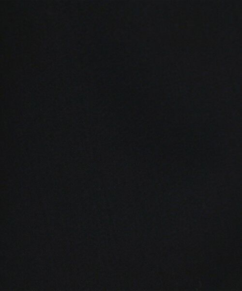 TOMORROWLAND / トゥモローランド スラックス・ドレスパンツ | 【WEB先行予約】ウールドスキン ワイドタックパンツ | 詳細11