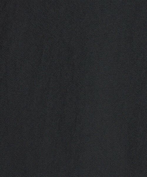 TOMORROWLAND / トゥモローランド シャツ・ブラウス | シアーオーガンジー シースルーブラウス | 詳細10