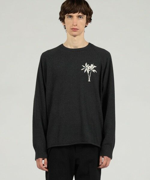 TOMORROWLAND / トゥモローランド ニット・セーター | リサイクルカシミヤパーム クルーネックプルオーバー MRBC3589AC | 詳細2