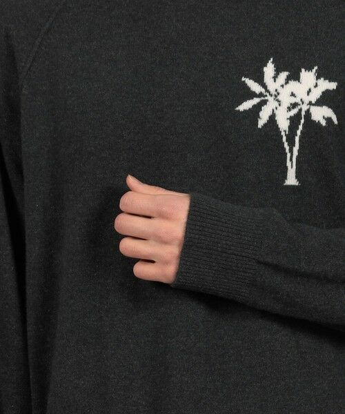 TOMORROWLAND / トゥモローランド ニット・セーター | リサイクルカシミヤパーム クルーネックプルオーバー MRBC3589AC | 詳細6