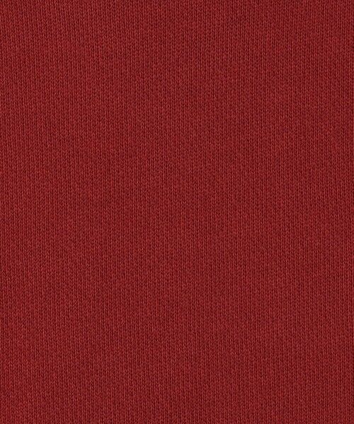 TOMORROWLAND / トゥモローランド パーカー | グレイトフルテッドプリント フーディー MQU3521GRD | 詳細12