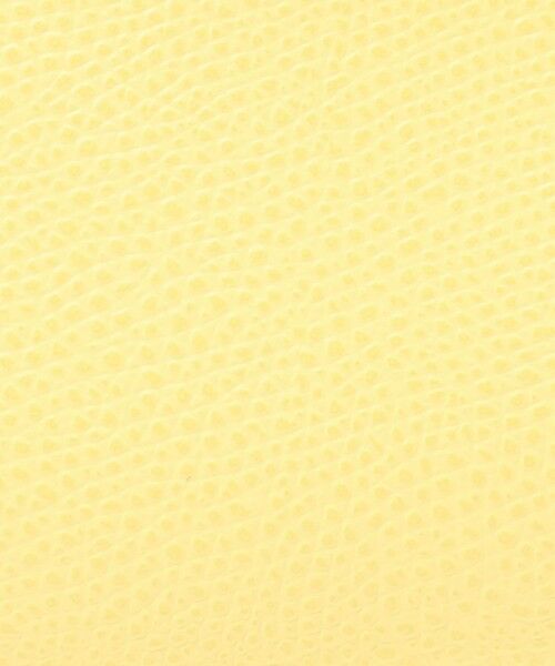 TOMORROWLAND / トゥモローランド ハンドバッグ | CARBOTTI  GRETA 245 ハンドバッグ | 詳細16