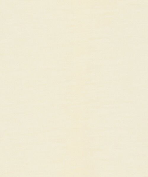 TOMORROWLAND / トゥモローランド Tシャツ | テンセルシルク ベーシックカットソー | 詳細10