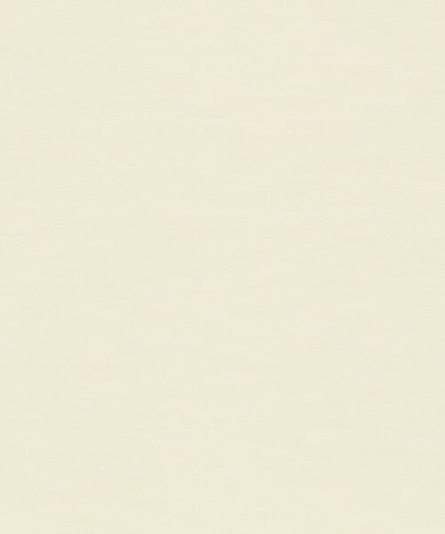 TOMORROWLAND / トゥモローランド Tシャツ | テンセルシルク ベーシックTシャツ | 詳細10