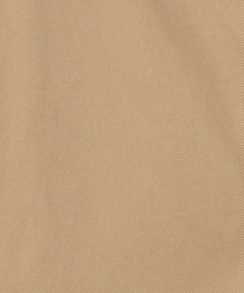 TOMORROWLAND / トゥモローランド その他パンツ | スーピマコットン チノクロス バレルパンツ | 詳細12