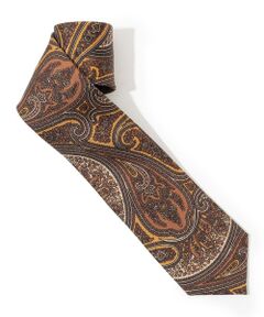 TOMORROWLAND / トゥモローランド ネクタイ | TOMORROWLAND シルク ペイズリーネクタイ