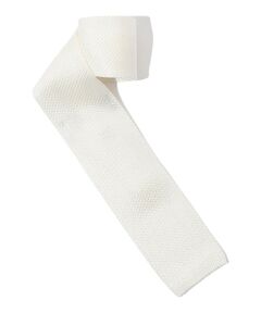 TOMORROWLAND / トゥモローランド ネクタイ | TRICOT-DIO シルクニットタイ