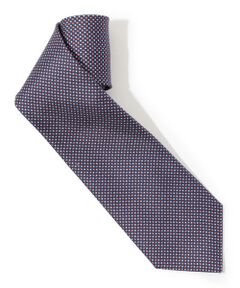 TOMORROWLAND / トゥモローランド ネクタイ | ERRICO FORMICOLA シルク プリントネクタイ