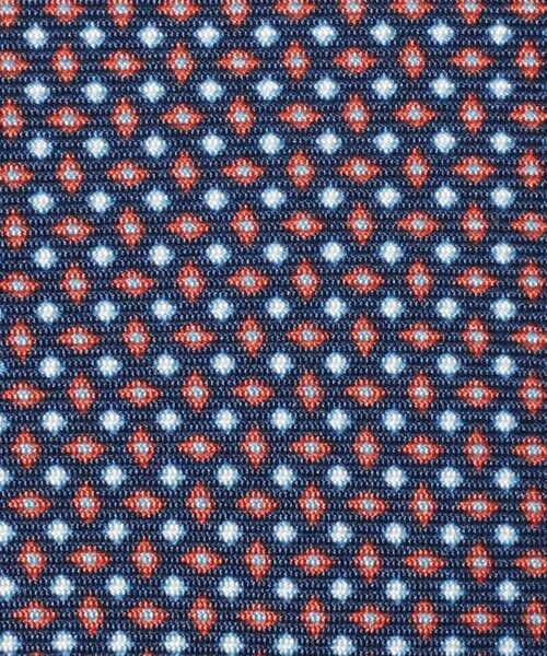 TOMORROWLAND / トゥモローランド ネクタイ | ERRICO FORMICOLA シルク プリントネクタイ | 詳細4