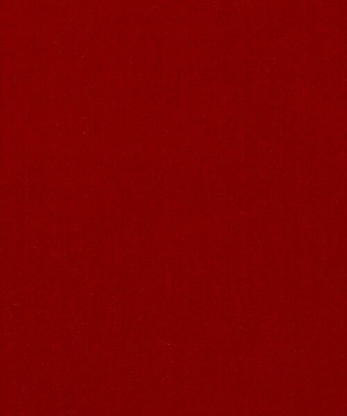 TOMORROWLAND / トゥモローランド Tシャツ | Simone Wild T-Shirt | 詳細12