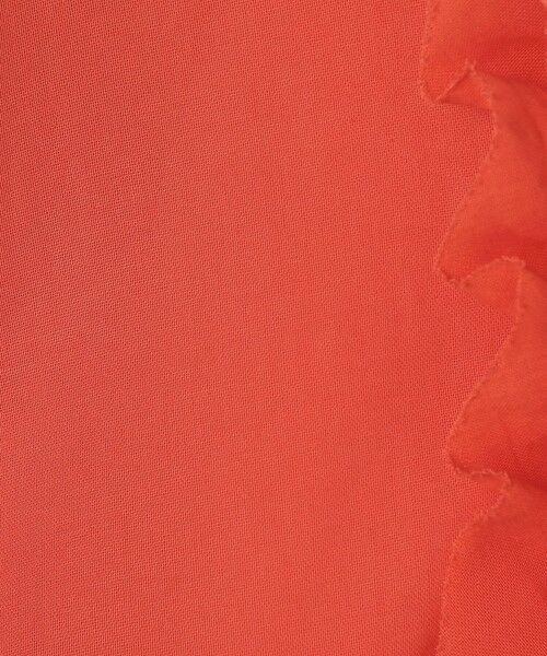 TOMORROWLAND / トゥモローランド シャツ・ブラウス（半袖以外） | ルコットンオーガンジー ジップアップブラウス | 詳細9