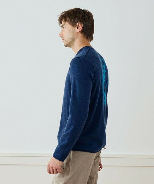 TOMORROWLAND / トゥモローランド ニット・セーター | リサイクルカシミヤグラフィック クルーネックプルオーバー MRBC3426GM | 詳細3