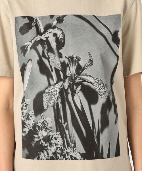 TOMORROWLAND / トゥモローランド Tシャツ | 【別注】LISA KING  BEARDED IRIS　ハーフスリーブプルオーバー | 詳細9