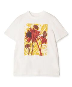 TOMORROWLAND / トゥモローランド Tシャツ | LISA KING  SLAD VALLEY　ハーフスリーブプルオーバー