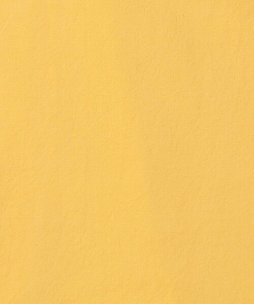 TOMORROWLAND / トゥモローランド ブルゾン | 【別注】GUY ROVER コットンポプリン オーバーシャツ | 詳細11