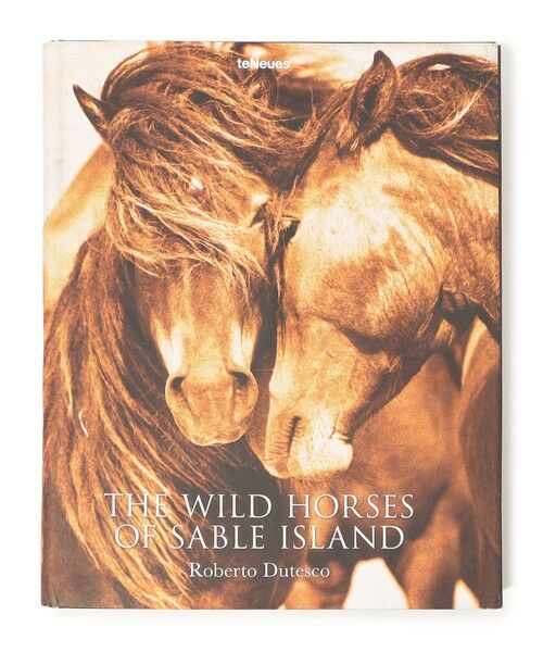 TOMORROWLAND / トゥモローランド BOOK | THE WILD HORSES OF SABLE ISLAND BOOK ABK2099 | 詳細1