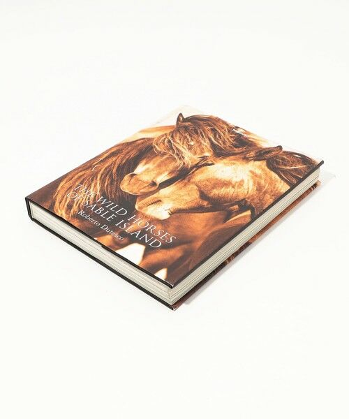 TOMORROWLAND / トゥモローランド BOOK | THE WILD HORSES OF SABLE ISLAND BOOK ABK2099 | 詳細2