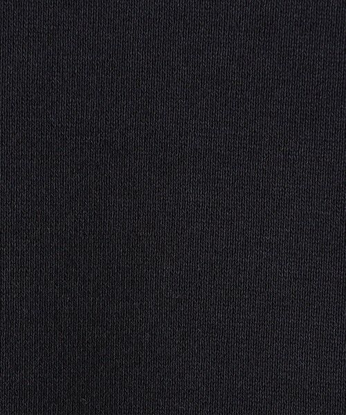TOMORROWLAND / トゥモローランド スウェット | スビンウラケ クルーネックベスト | 詳細9
