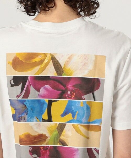 TOMORROWLAND / トゥモローランド Tシャツ | LISA KING 0000 ハーフスリーブプルオーバー | 詳細6