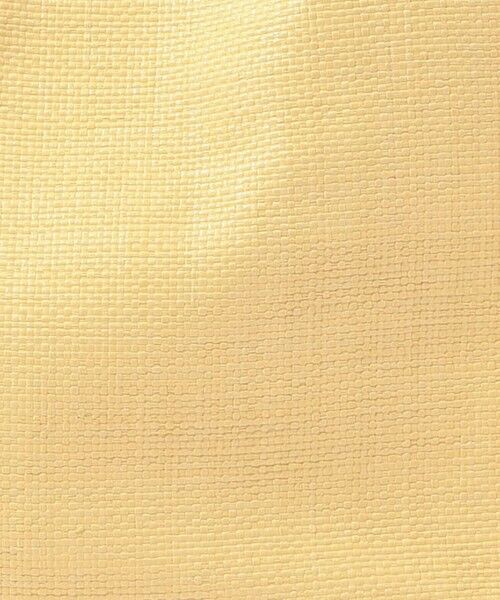 TOMORROWLAND / トゥモローランド トートバッグ | NOMADIS SAC SQ MESH ハンドバッグ | 詳細10