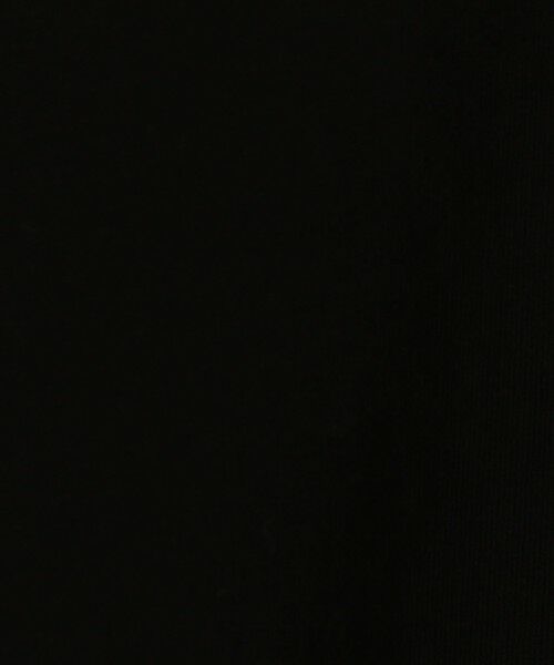 TOMORROWLAND / トゥモローランド ポロシャツ | スビンコットン ジャージーポロシャツ | 詳細10