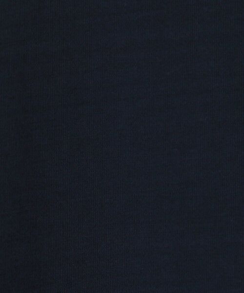TOMORROWLAND / トゥモローランド ポロシャツ | スビンコットン ジャージーポロシャツ | 詳細9