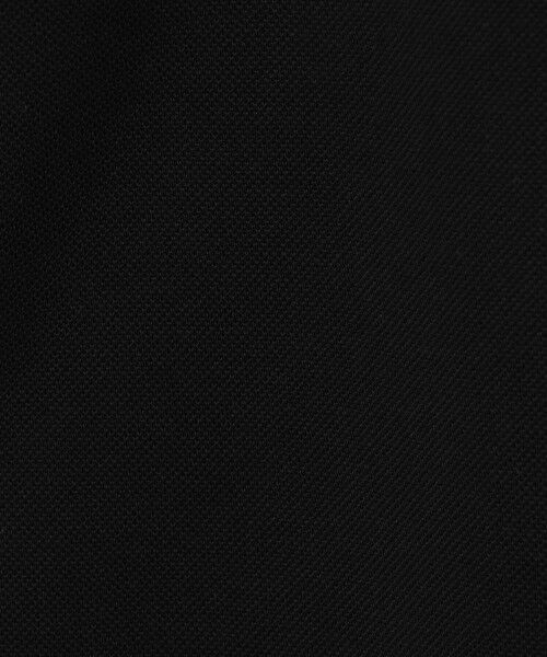 TOMORROWLAND / トゥモローランド ポロシャツ | LACOSTE L1212 ポロシャツ | 詳細12