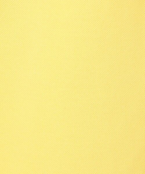 TOMORROWLAND / トゥモローランド ポロシャツ | LACOSTE L1212 ポロシャツ | 詳細13