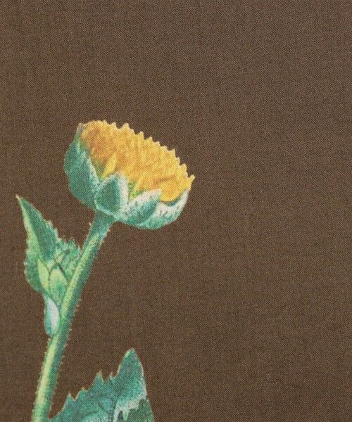 TOMORROWLAND / トゥモローランド その他パンツ | コットン Green Showerプリント 2タックワイドパンツ | 詳細9