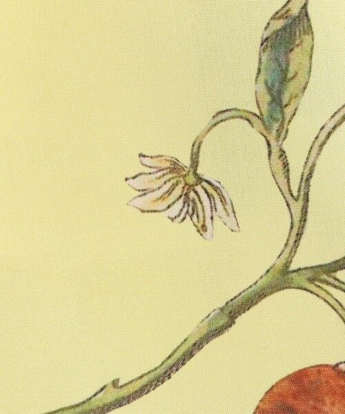 TOMORROWLAND / トゥモローランド ミニ・ひざ丈スカート | シルク Green Showerプリント フレアスカート | 詳細11