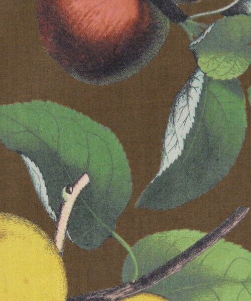 TOMORROWLAND / トゥモローランド シャツ・ブラウス | CABaN コットン Green Showerプリント ハーフスリーブシャツ | 詳細14