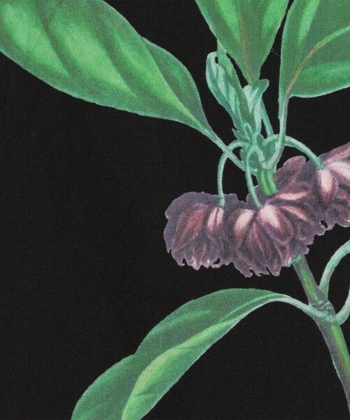 TOMORROWLAND / トゥモローランド シャツ・ブラウス | CABaN コットン Green Showerプリント ハーフスリーブシャツ | 詳細9