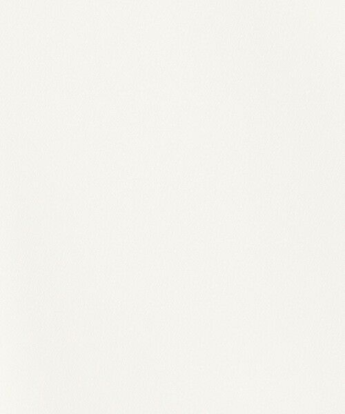 TOMORROWLAND / トゥモローランド シャツ・ブラウス | ライトダブルクロス ノースリーブトップス | 詳細8