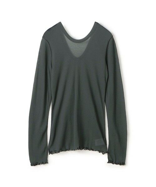 【貴重、限定】オニサバルヤシ　ロングリーフ　大量 貴重、限定 オニサバルヤシ、ロングリーフ 100葉以上発芽