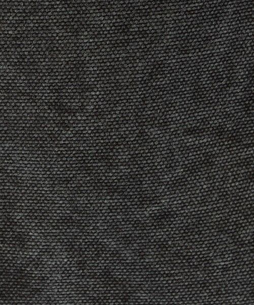 TOMORROWLAND / トゥモローランド トートバッグ | TAMPICO コットンキャンバス トートバッグ | 詳細9