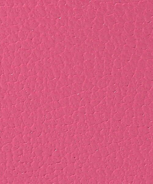 TOMORROWLAND / トゥモローランド その他小物 | Atelier TOMORROWLAND TRINCKET マルチケース | 詳細10